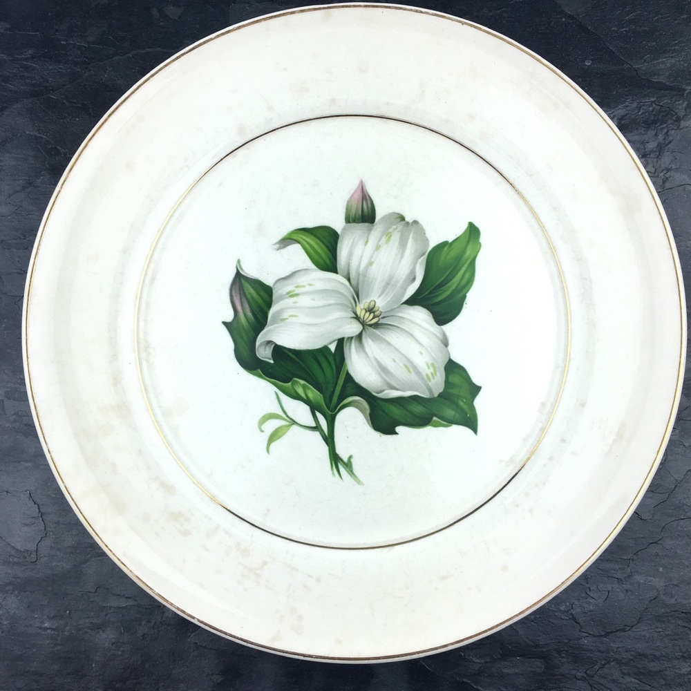 American Limoges Trillium 22K Dinner Plate 10”